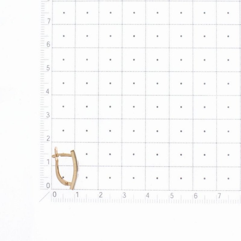 Ohrringe mit Zirkonia | 585 Rotgold Bicolor - Foto №1